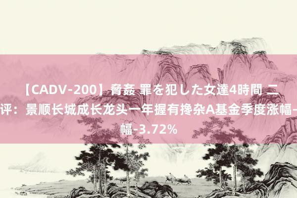 【CADV-200】脅姦 罪を犯した女達4時間 二季报点评：景顺长城成长龙头一年握有搀杂A基金季度涨幅-3.72%