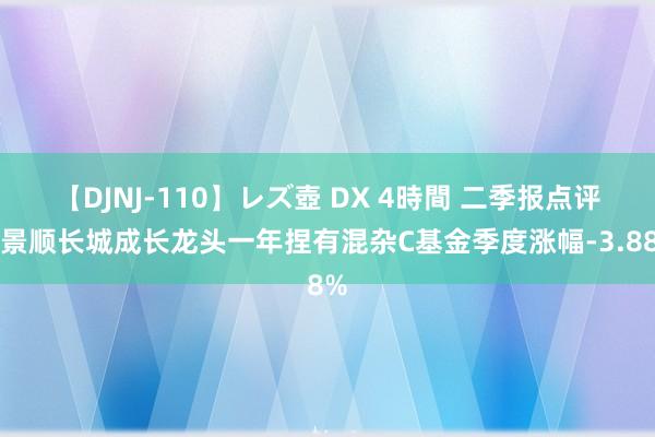 【DJNJ-110】レズ壺 DX 4時間 二季报点评：景顺长城成长龙头一年捏有混杂C基金季度涨幅-3.88%