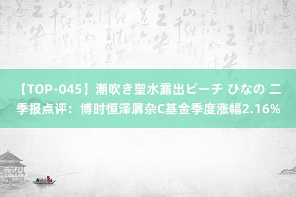 【TOP-045】潮吹き聖水露出ビーチ ひなの 二季报点评：博时恒泽羼杂C基金季度涨幅2.16%