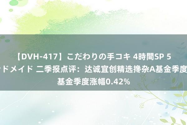 【DVH-417】こだわりの手コキ 4時間SP 5 30人のハンドメイド 二季报点评：达诚宜创精选搀杂A基金季度涨幅0.42%