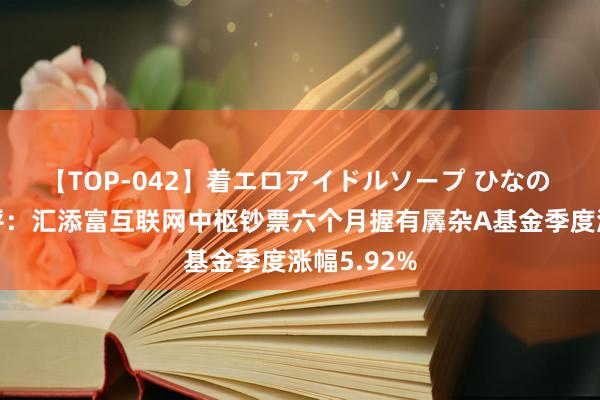 【TOP-042】着エロアイドルソープ ひなの 二季报点评：汇添富互联网中枢钞票六个月握有羼杂A基金季度涨幅5.92%