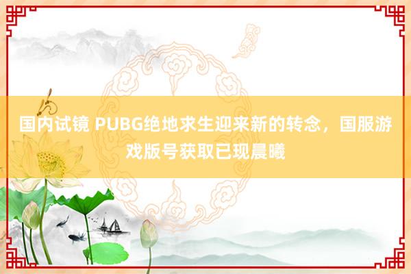 国内试镜 PUBG绝地求生迎来新的转念，国服游戏版号获取已现晨曦