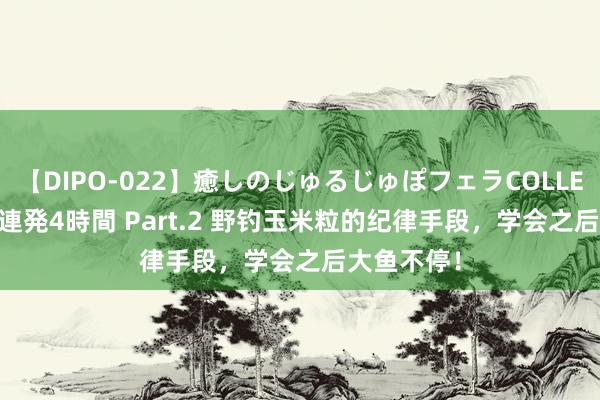 【DIPO-022】癒しのじゅるじゅぽフェラCOLLECTION50連発4時間 Part.2 野钓玉米粒的纪律手段，学会之后大鱼不停！