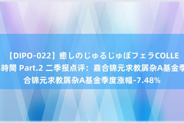 【DIPO-022】癒しのじゅるじゅぽフェラCOLLECTION50連発4時間 Part.2 二季报点评：嘉合锦元求教羼杂A基金季度涨幅-7.48%