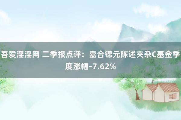 吾爱淫淫网 二季报点评：嘉合锦元陈述夹杂C基金季度涨幅-7.62%