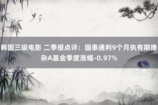 韩国三级电影 二季报点评：国泰通利9个月执有期搀杂A基金季度涨幅-0.97%