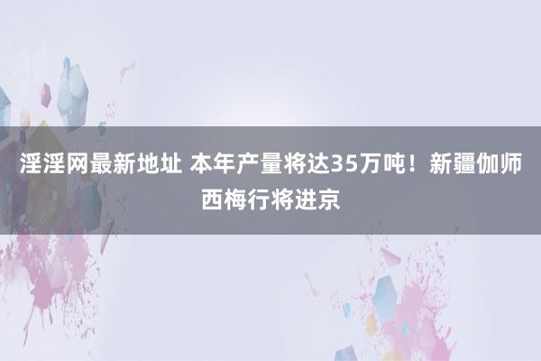 淫淫网最新地址 本年产量将达35万吨！新疆伽师西梅行将进京