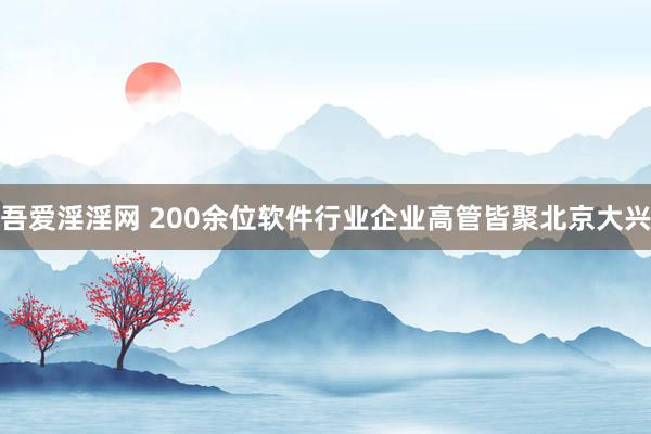 吾爱淫淫网 200余位软件行业企业高管皆聚北京大兴