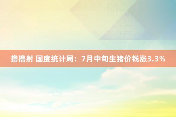 撸撸射 国度统计局：7月中旬生猪价钱涨3.3%