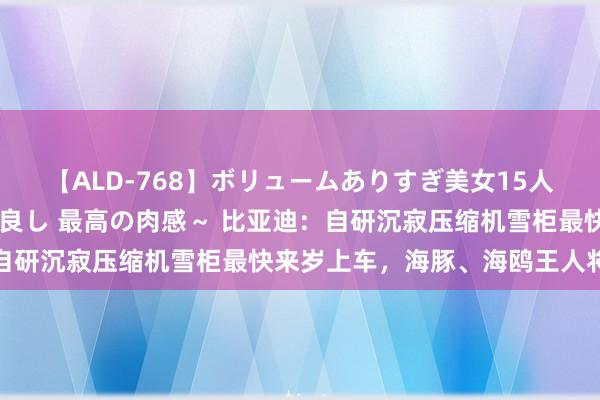 【ALD-768】ボリュームありすぎ美女15人～抱いて良し 抱かれて良し 最高の肉感～ 比亚迪：自研沉寂压缩机雪柜最快来岁上车，海豚、海鸥王人将配备