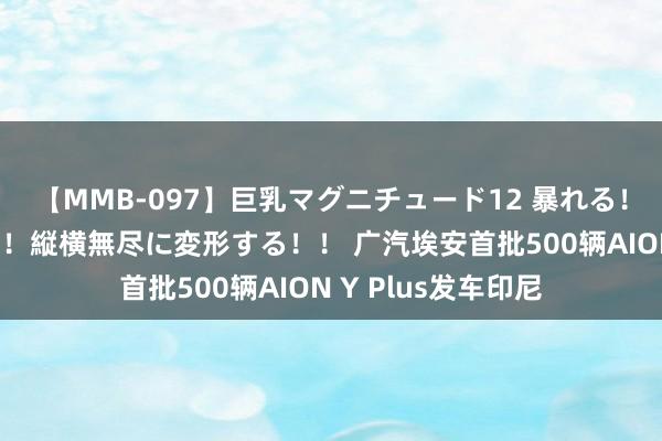 【MMB-097】巨乳マグニチュード12 暴れる！弾む！揺れまくる！縦横無尽に変形する！！ 广汽埃安首批500辆AION Y Plus发车印尼