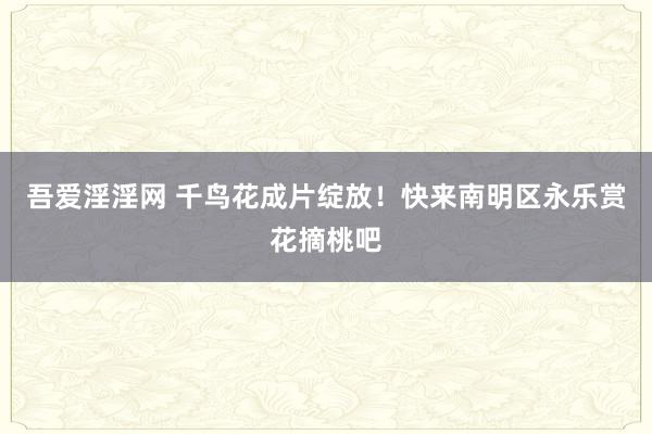 吾爱淫淫网 千鸟花成片绽放！快来南明区永乐赏花摘桃吧