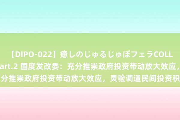 【DIPO-022】癒しのじゅるじゅぽフェラCOLLECTION50連発4時間 Part.2 国度发改委：充分推崇政府投资带动放大效应，灵验调遣民间投资积极性