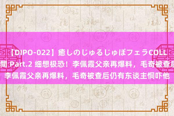 【DIPO-022】癒しのじゅるじゅぽフェラCOLLECTION50連発4時間 Part.2 细想极恐！李佩霞父亲再爆料，毛奇被查后仍有东谈主恫吓他