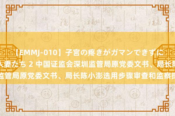 【EMMJ-010】子宮の疼きがガマンできずに他人棒でヨガリ狂う美人妻たち 2 中国证监会深圳监管局原党委文书、局长陈小澎选用步骤审查和监察探访