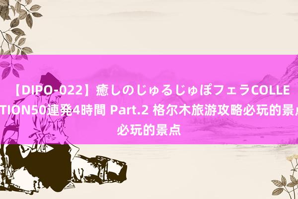 【DIPO-022】癒しのじゅるじゅぽフェラCOLLECTION50連発4時間 Part.2 格尔木旅游攻略必玩的景点