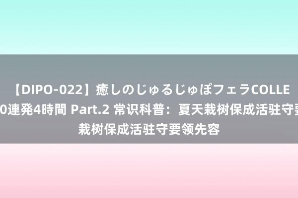 【DIPO-022】癒しのじゅるじゅぽフェラCOLLECTION50連発4時間 Part.2 常识科普：夏天栽树保成活驻守要领先容