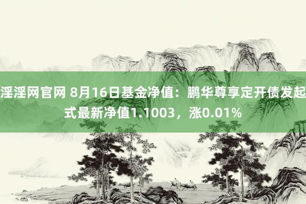 淫淫网官网 8月16日基金净值：鹏华尊享定开债发起式最新净值1.1003，涨0.01%