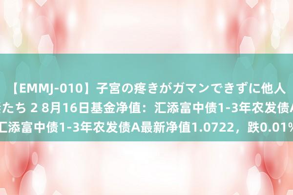 【EMMJ-010】子宮の疼きがガマンできずに他人棒でヨガリ狂う美人妻たち 2 8月16日基金净值：汇添富中债1-3年农发债A最新净值1.0722，跌0.01%