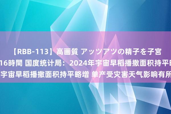 【RBB-113】高画質 アッツアツの精子を子宮に孕ませ中出し120発16時間 国度统计局：2024年宇宙早稻播撒面积持平略增 单产受灾害天气影响有所下落