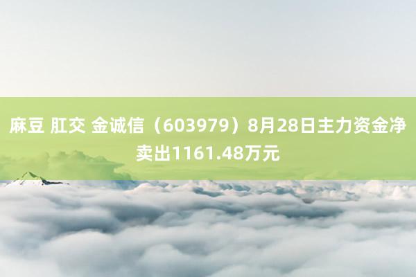 麻豆 肛交 金诚信（603979）8月28日主力资金净卖出1161.48万元