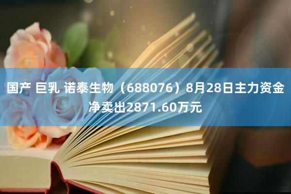 国产 巨乳 诺泰生物（688076）8月28日主力资金净卖出2871.60万元