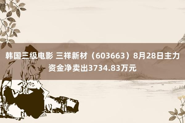 韩国三级电影 三祥新材（603663）8月28日主力资金净卖出3734.83万元