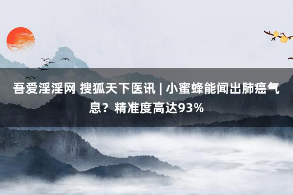 吾爱淫淫网 搜狐天下医讯 | 小蜜蜂能闻出肺癌气息？精准度高达93%