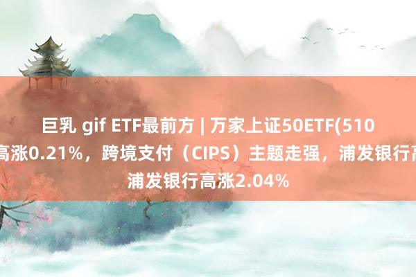 巨乳 gif ETF最前方 | 万家上证50ETF(510680)早盘高涨0.21%，跨境支付（CIPS）主题走强，浦发银行高涨2.04%