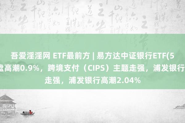 吾爱淫淫网 ETF最前方 | 易方达中证银行ETF(516310)早盘高潮0.9%，跨境支付（CIPS）主题走强，浦发银行高潮2.04%