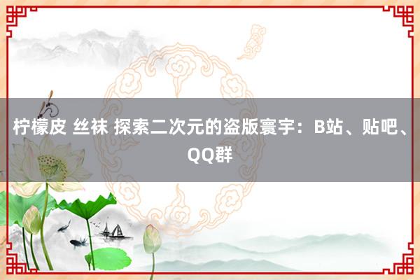 柠檬皮 丝袜 探索二次元的盗版寰宇：B站、贴吧、QQ群