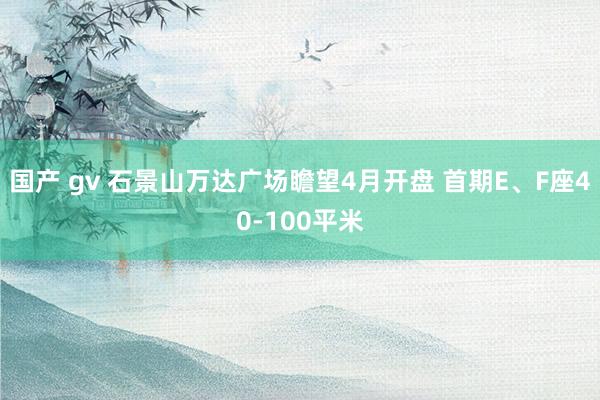 国产 gv 石景山万达广场瞻望4月开盘 首期E、F座40-100平米