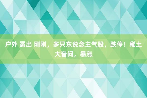 户外 露出 刚刚，多只东说念主气股，跌停！稀土大音问，暴涨