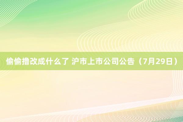 偷偷撸改成什么了 沪市上市公司公告（7月29日）