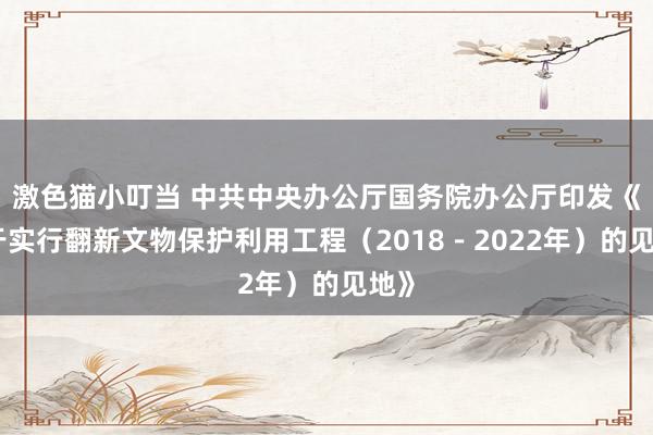 激色猫小叮当 中共中央办公厅国务院办公厅印发《对于实行翻新文物保护利用工程（2018－2022年）的见地》