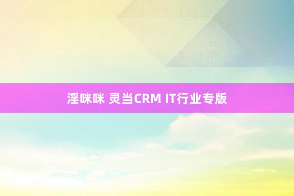 淫咪咪 灵当CRM IT行业专版